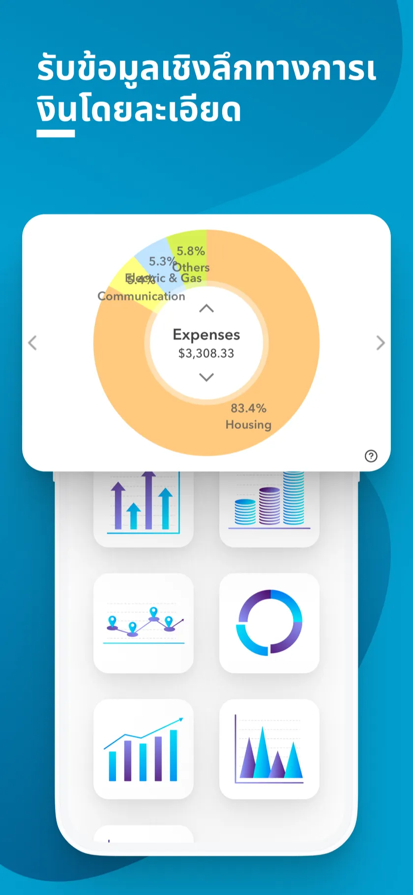 หน้าข้อมูลเชิงลึกการเงินและกราฟรายจ่าย